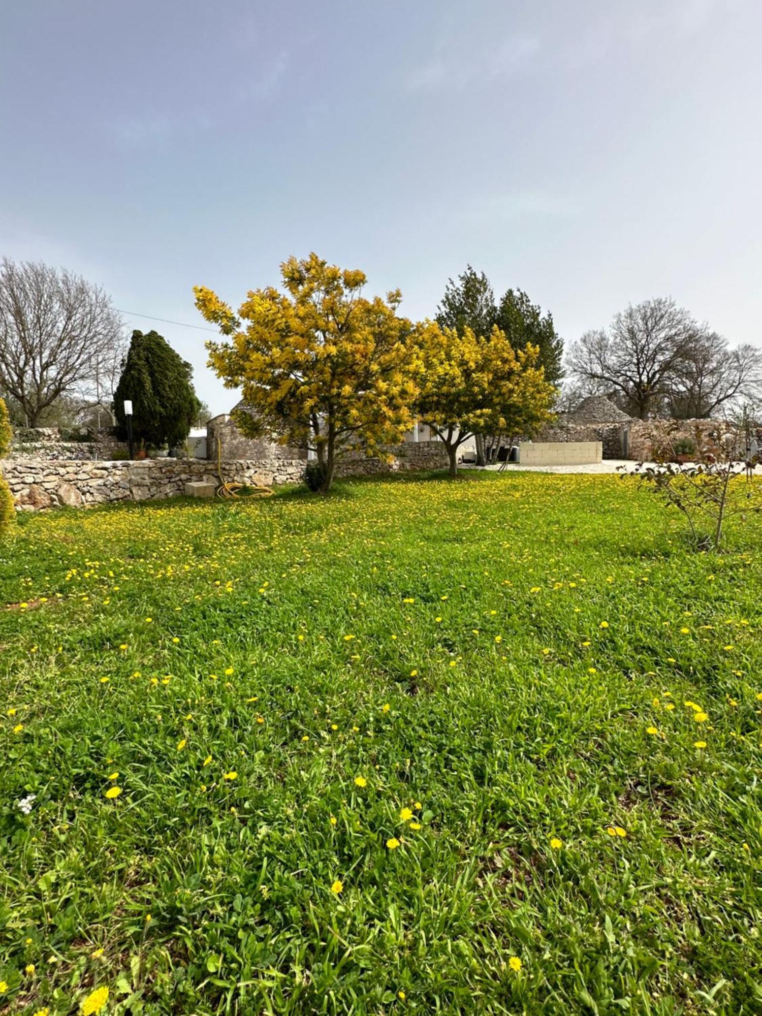 Villa Trulli In Contrada à Noci Extérieur photo